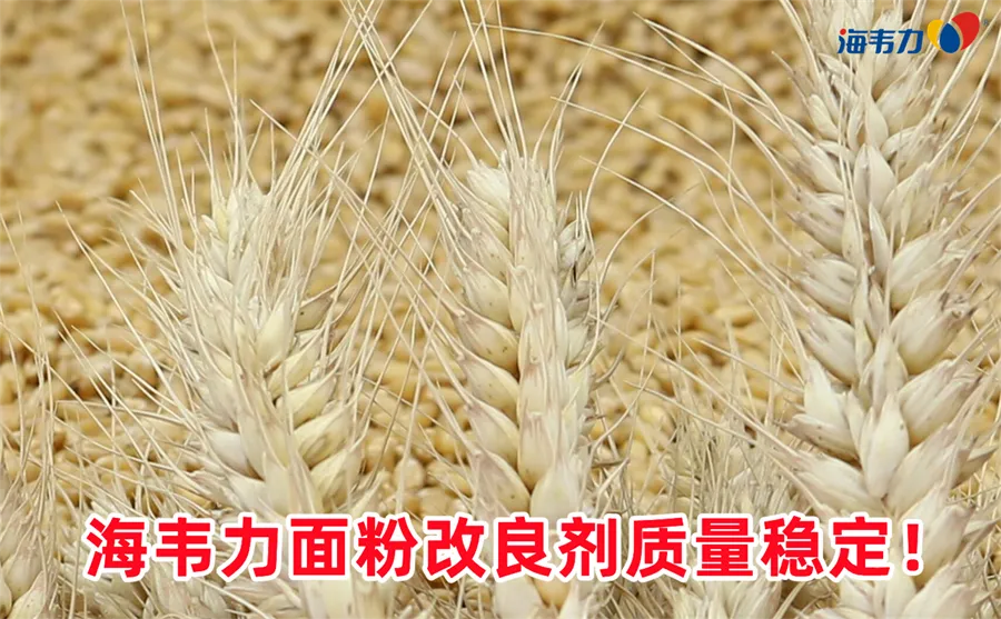 面粉的吸水率说明