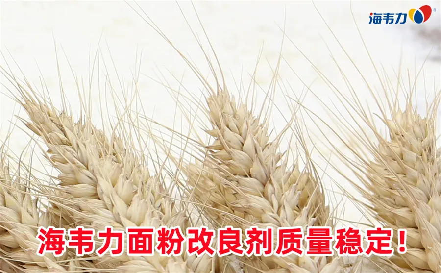 谷朊粉的功能特性