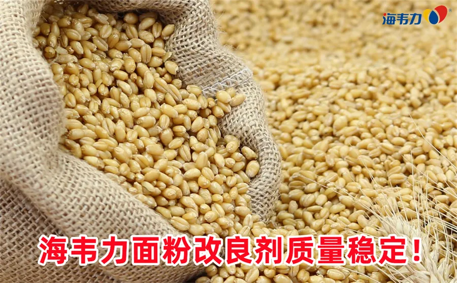 韧性饼干面团的调制过程