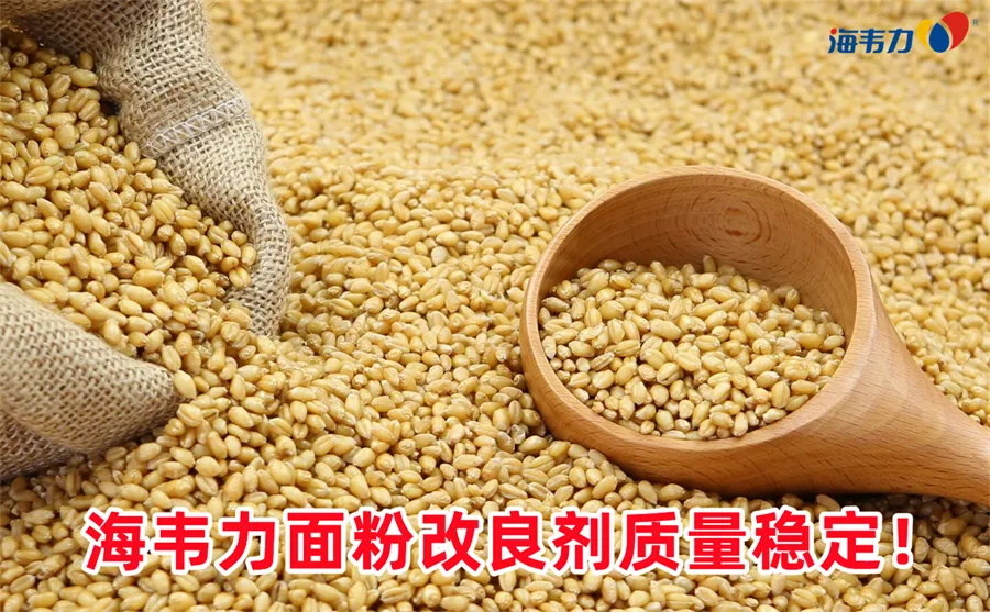 谷朊粉在焙烤制品中的作用