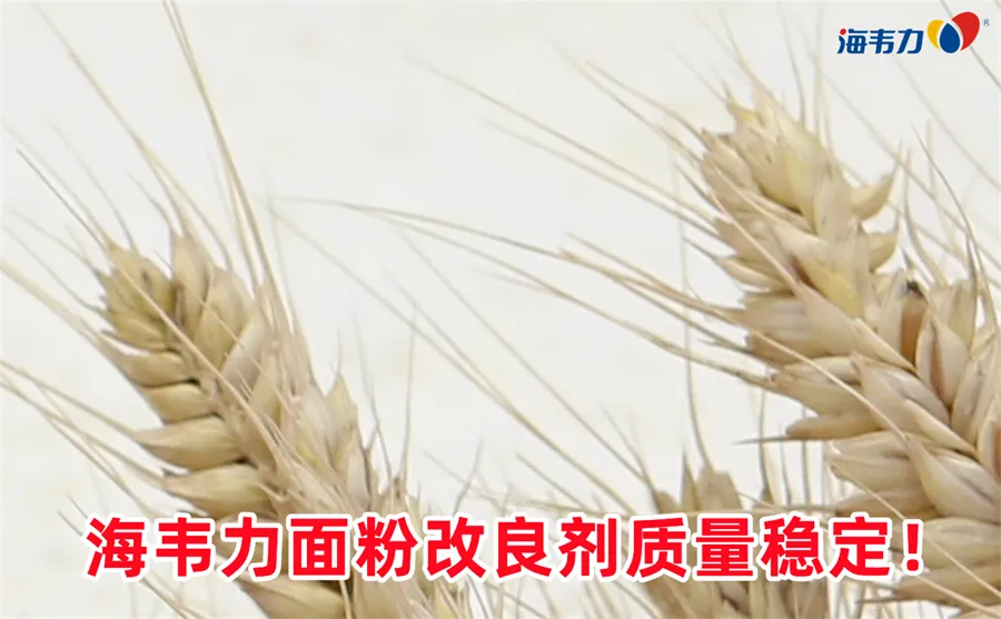 谷朊粉的用途