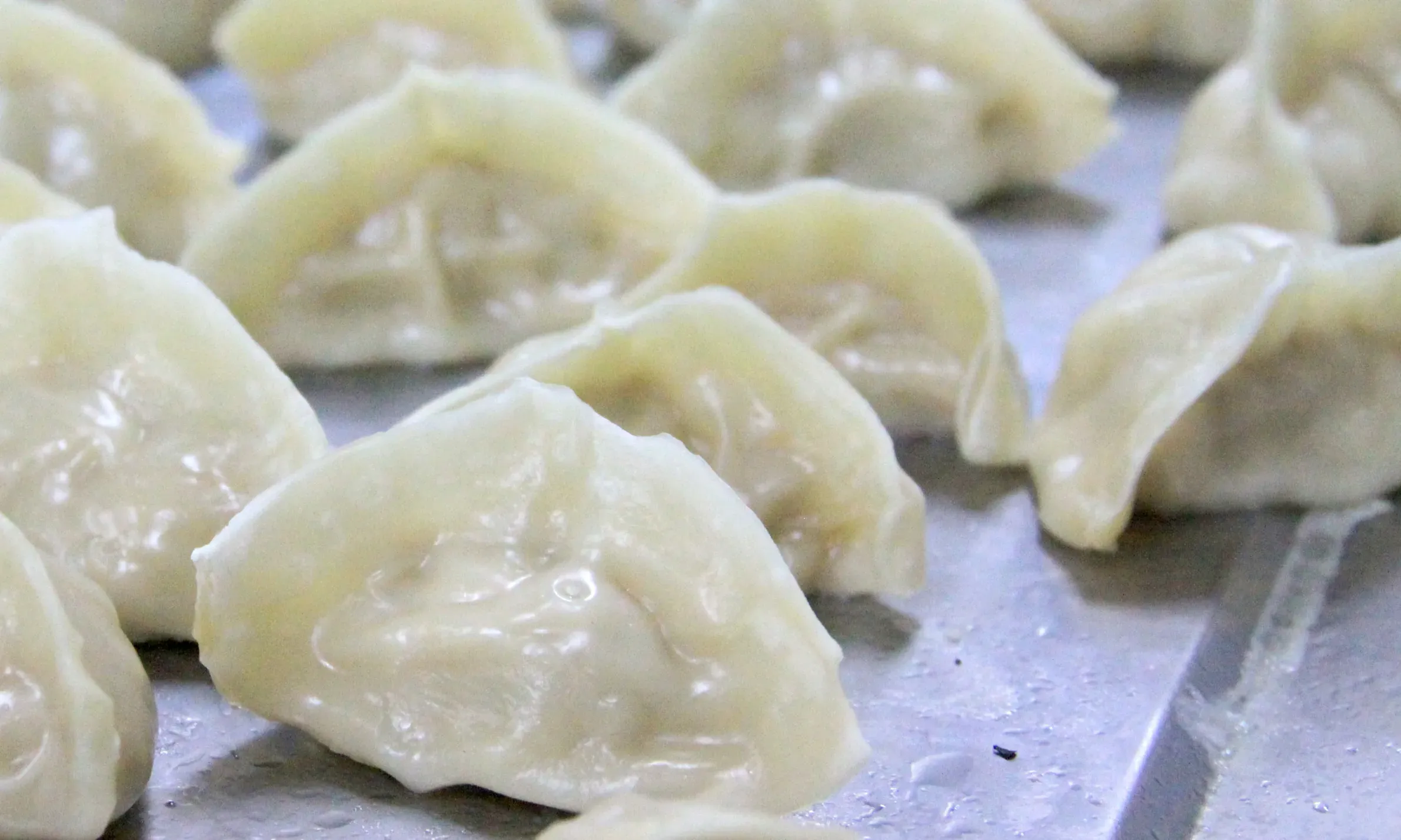 白菜水饺的做法步骤