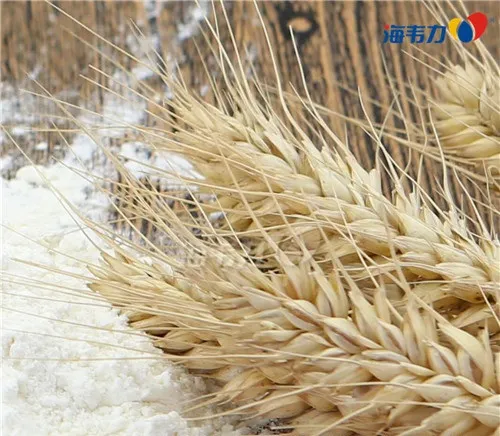 小麦容重与千粒重的说明,什么是小麦容重与千粒重