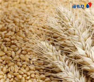 什么是预糊化淀粉