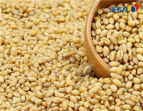 谷朊粉在素食专用食品上的应用