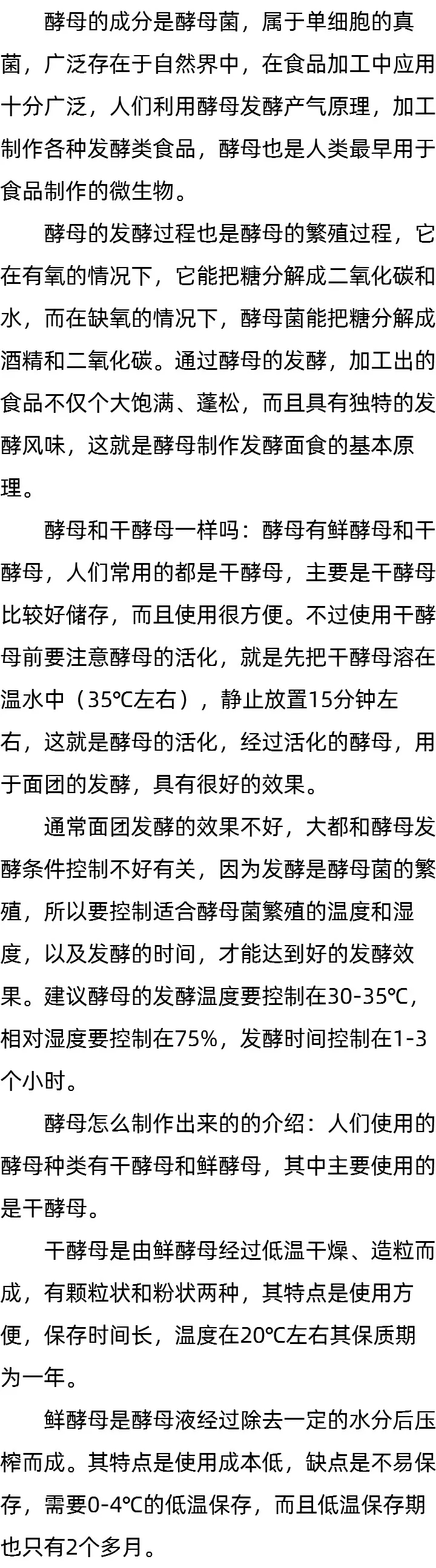 酵母成分 酵母成分