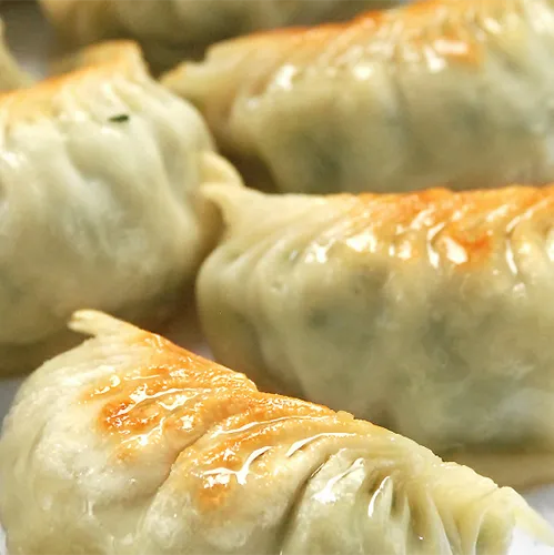 胡瓜猪肉水饺