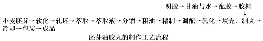小麦胚芽油胶丸的制作