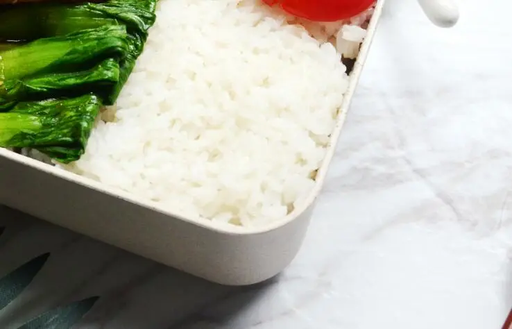 豆豉排骨蒸饭