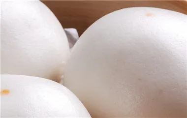 绳结面包的做法和配方
