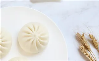 双冬鸭肉包的做法步骤