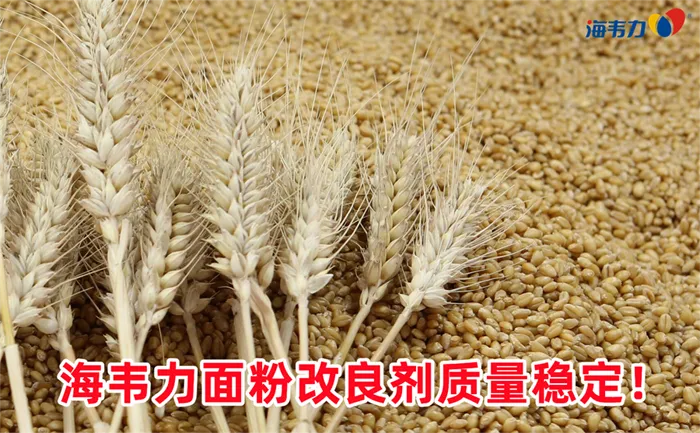 小麦品质与容重