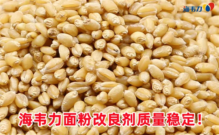 罗茨风机怎样维护