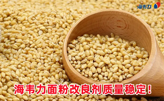 面粉的吸水率