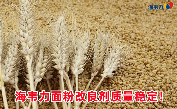 小麦胚芽的开发利用