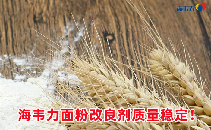小麦胚芽的物理特性