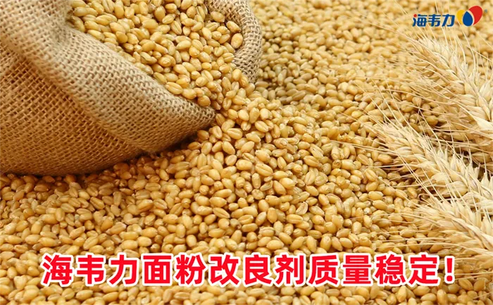 谷朊粉都能做什么美食