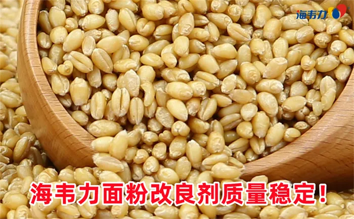 青稞小麦的介绍