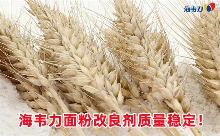 小麦清理工艺流程