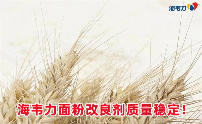 小麦粉面团的形成时间