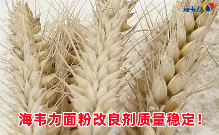 麦胚提纯流程图