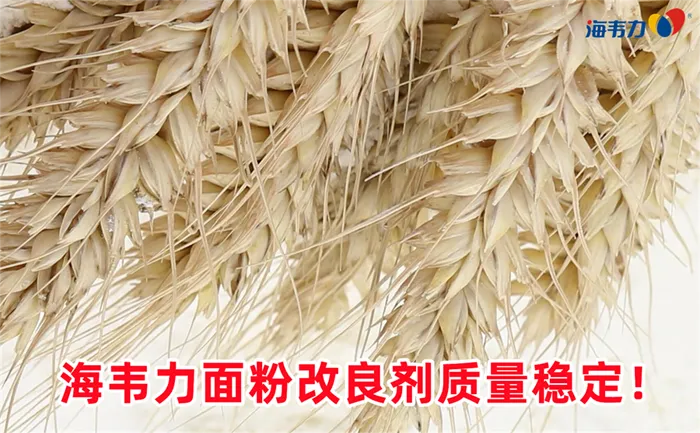 油炸锅的介绍