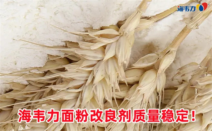 谷朊粉可用于保健快餐或保健食品