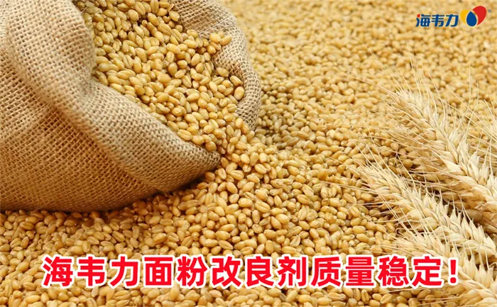 面粉厂日处理小麦200吨的设备