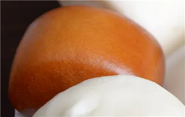 南方馒头的做法步骤