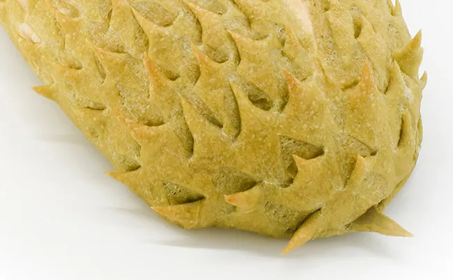 酵母蒸馒头还用放碱吗_泡打粉是碱性的吗_泡打粉是不是酵母粉