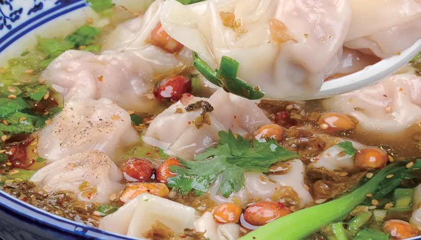 鸡肉馄饨的做法步骤