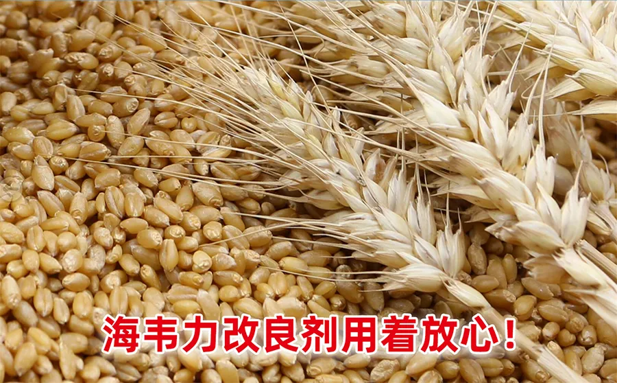 小麦吸式去石机