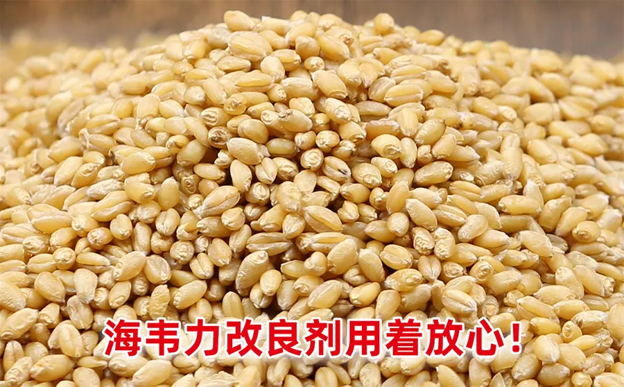 炸春卷的制作方法,炸春卷的制作步骤