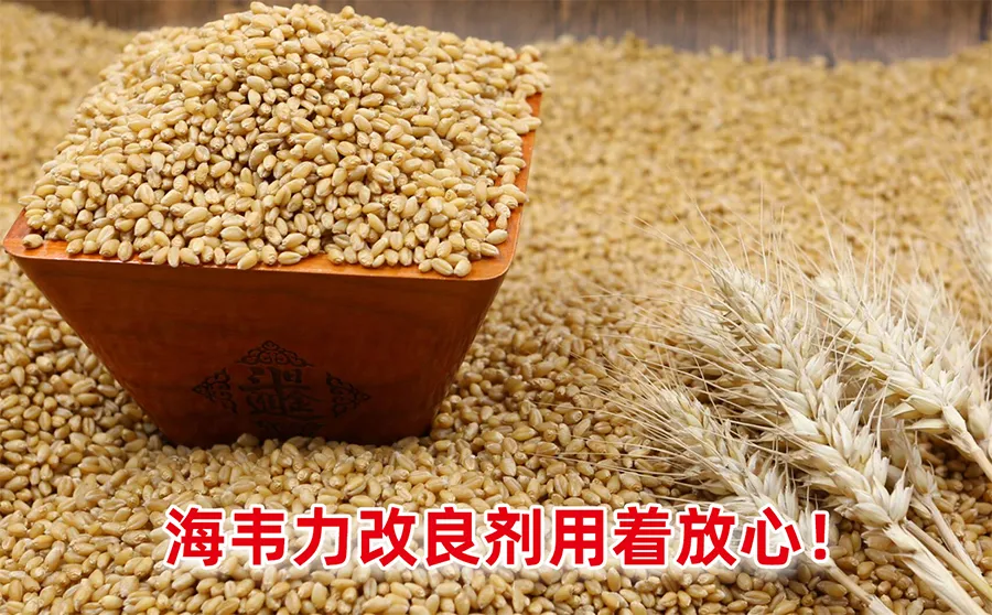 酶法检测面粉破损淀粉的方法,酶法检测面粉破损淀粉的步骤