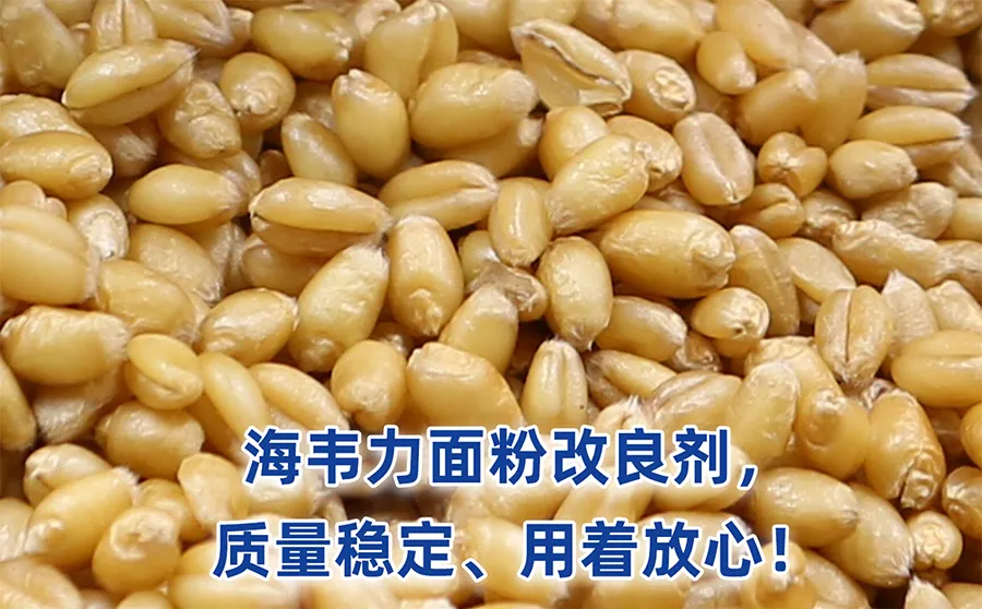 粉厂风机的安装与维护的方法