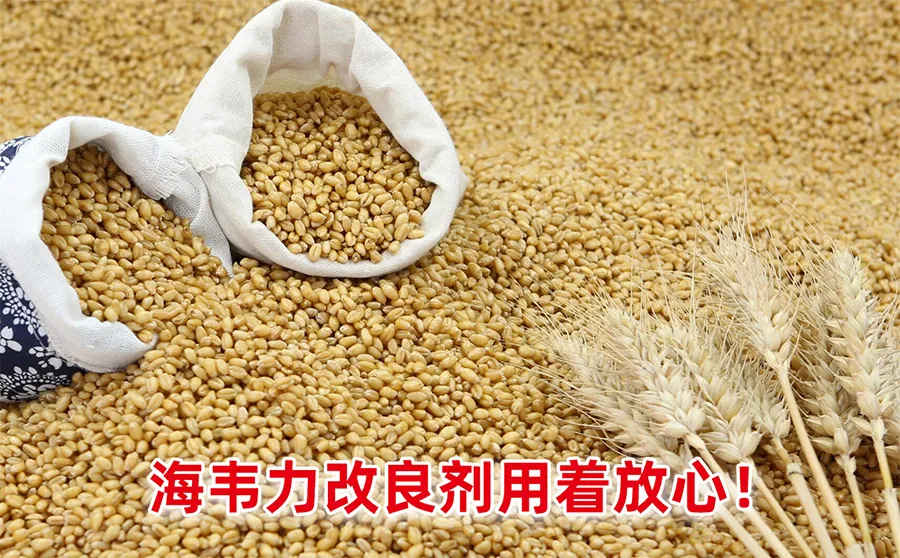 粉厂磨辊齿角的选用标准