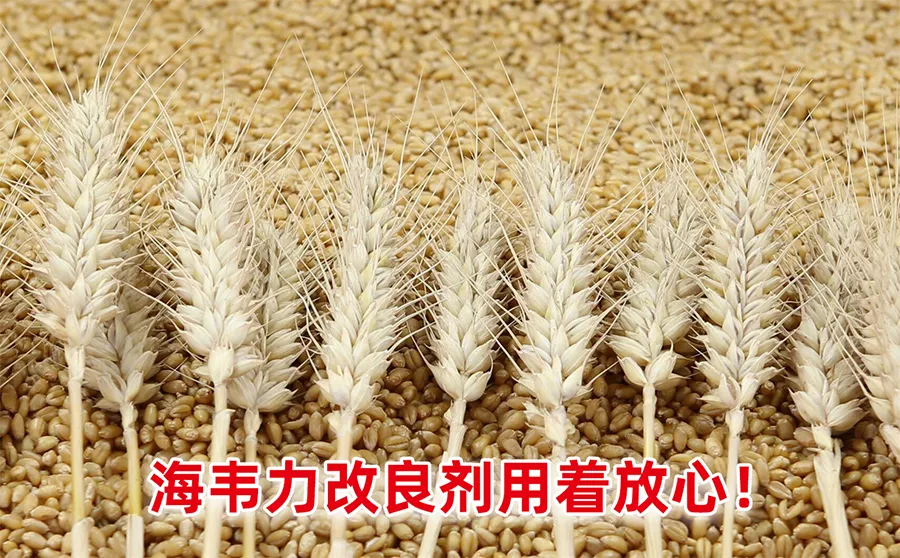 面粉厂清粉机开机前的准备工作