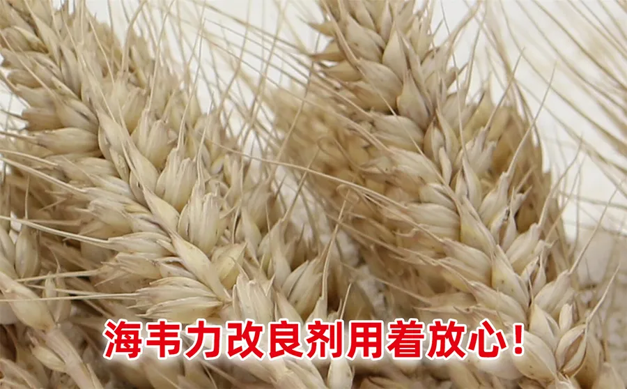 什么是面粉多工位打包机