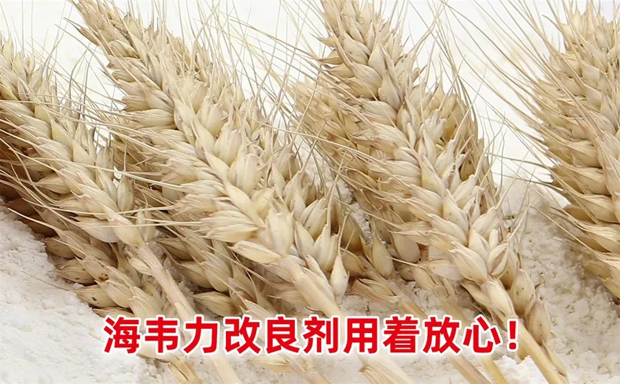 什么是小麦的筛选设备