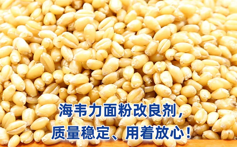 斗式提升机特点