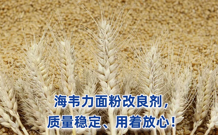 海韦力馒头粉改良剂.面粉中水分测定方法