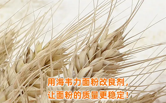 海韦力馒头粉改良剂,面粉的营养成分损失原因