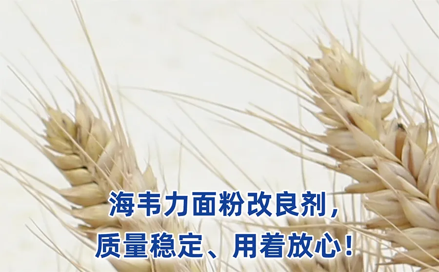 海韦力馒头粉改良剂,挂面烘干工艺