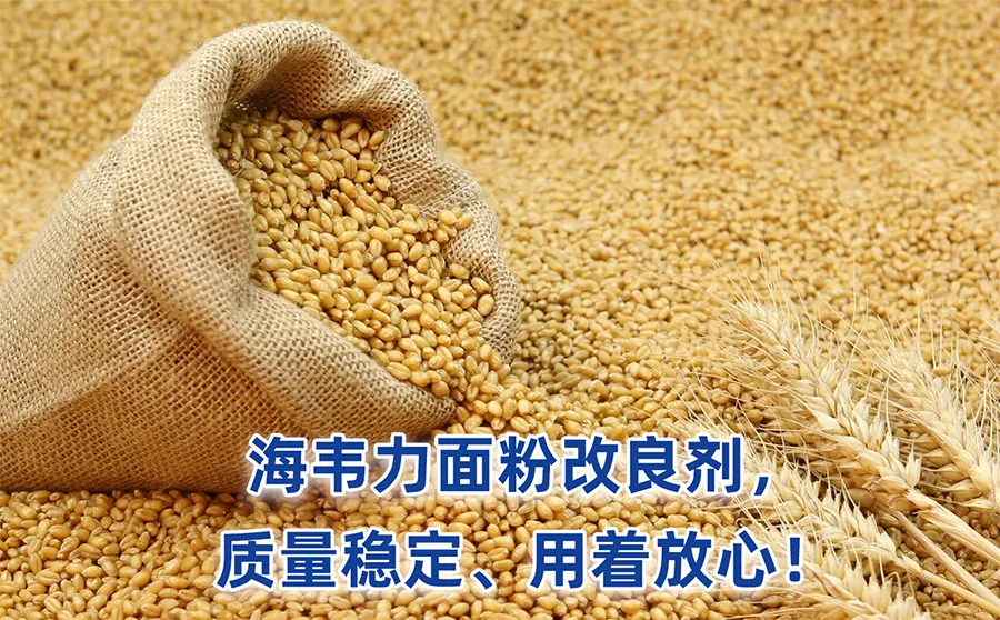 面包分为哪几类