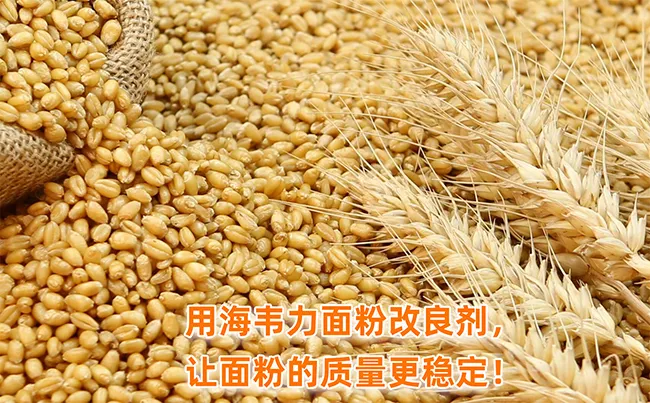 海韦力馒头粉改良剂,饼干的分类