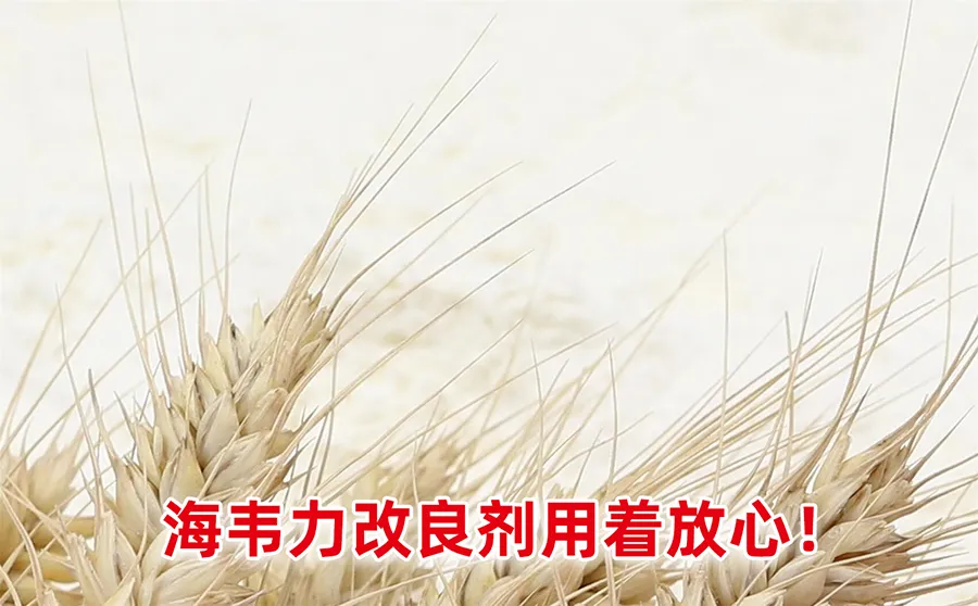 直接挤压性膨化食品的介绍