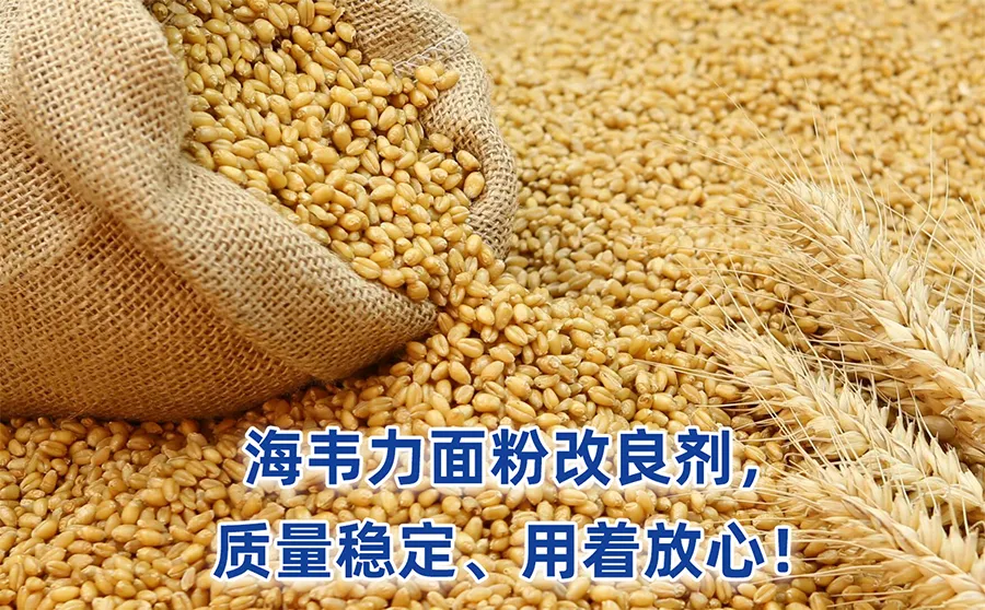 谷朊粉做面包的使用量