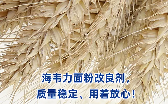 日处理小麦500吨面粉厂清理流程