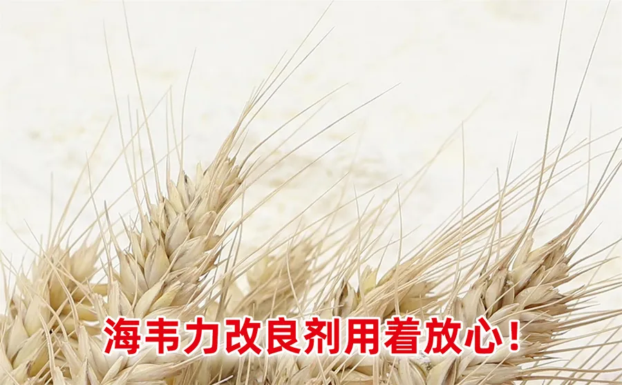 小麦制粉工艺及设备