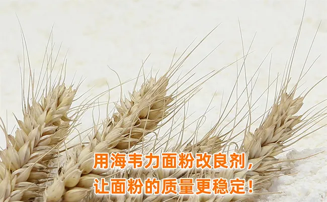 分样器分取样品的操作方法